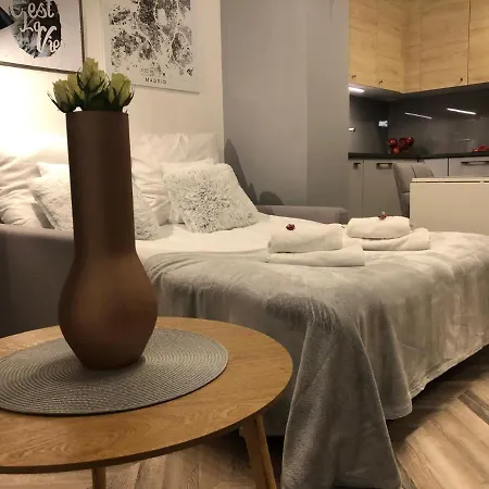 Center アパート カトヴィツェ