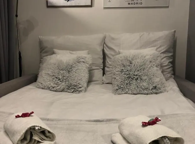 Center * 카토비체